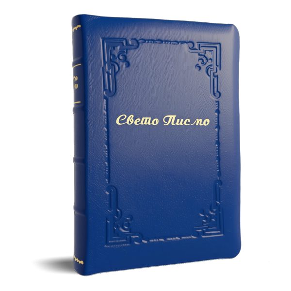 Sveto Pismo staroga i novoga zaveta Tip 8